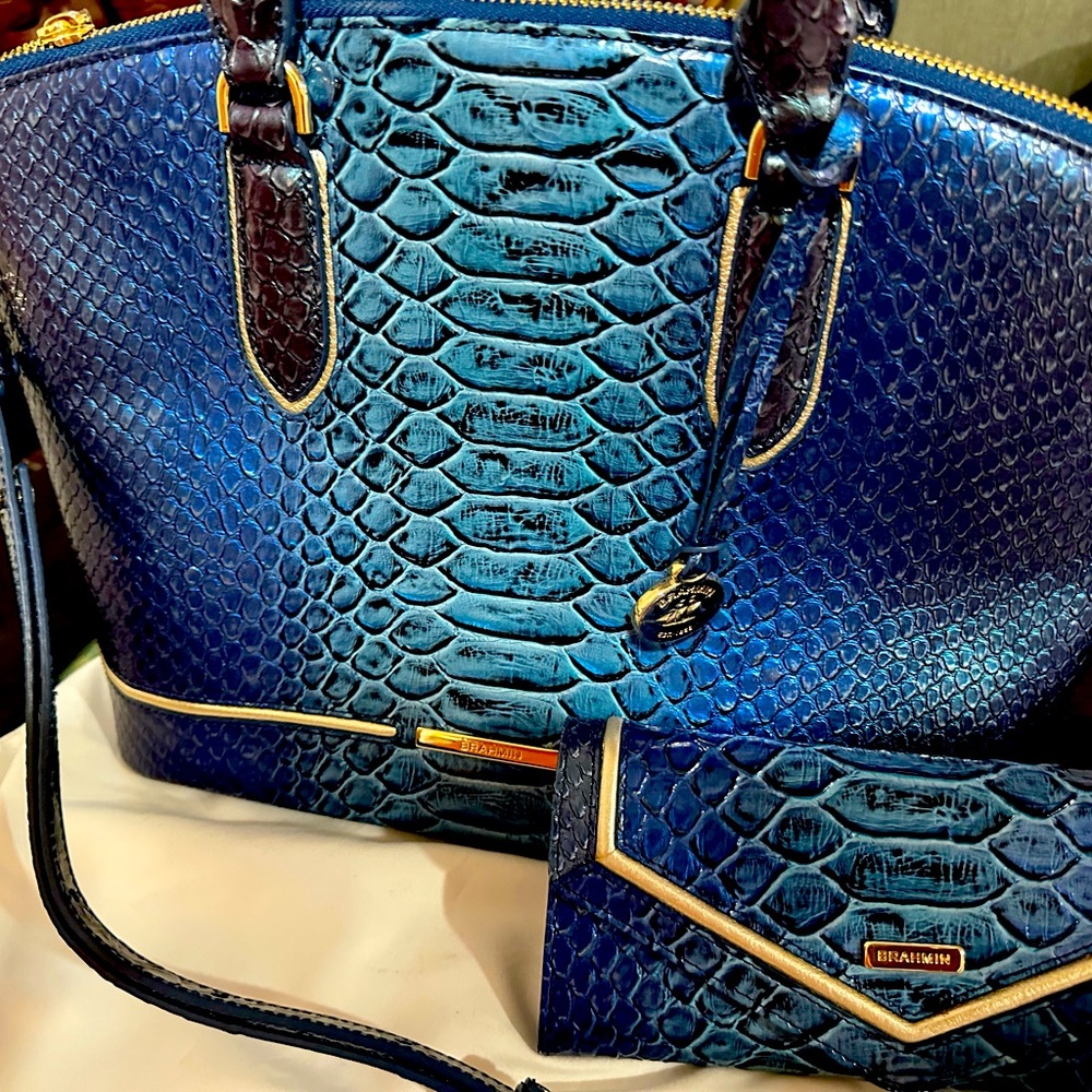 Fashionable Brahmin medium tote and matching wallet